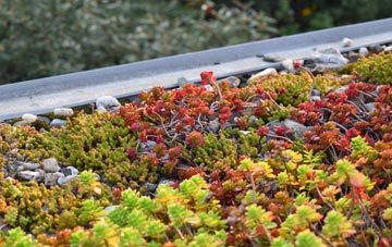 the cost of Elvanfoot green roof installation