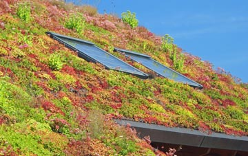 Elvanfoot living roof systems