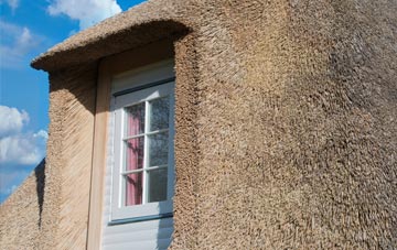 Elvanfoot thatch roof disadvantages